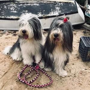 Meet your Posher, Katherine